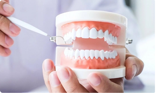 Ортопедическая  стоматология